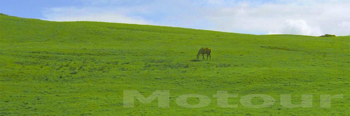 groen Ierland landschap onderweg motorvakantie