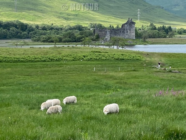uitzicht op kasteel inde hooglanden Schotland
