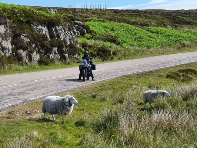 Shieldaig westkust motorreis Schotland